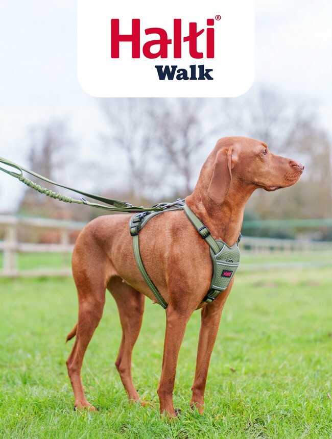 Halti-Walk