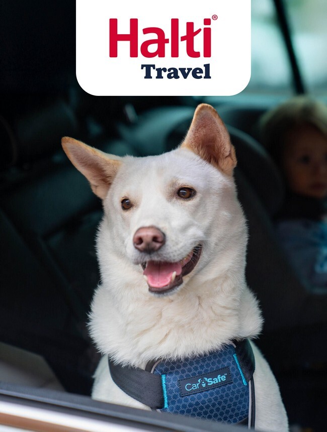 halti-travel