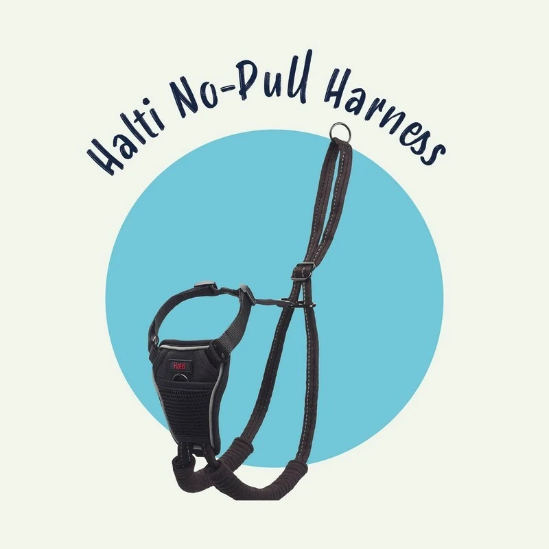 halti-no-pull-harness