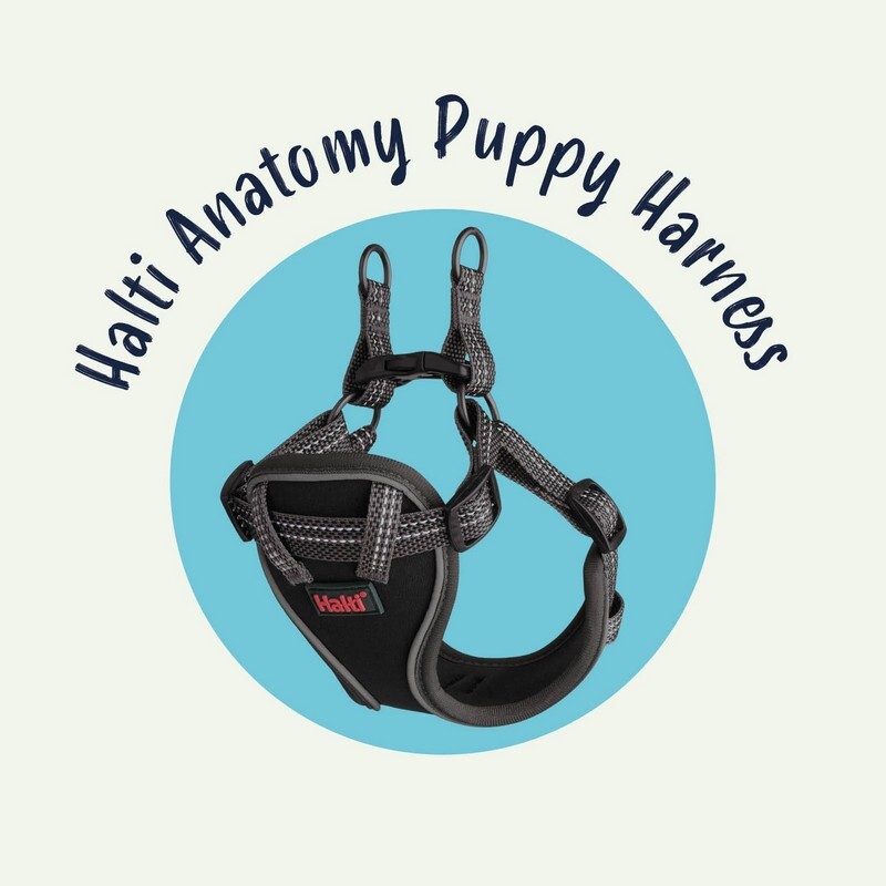 halti-anatomy-puppy-harness