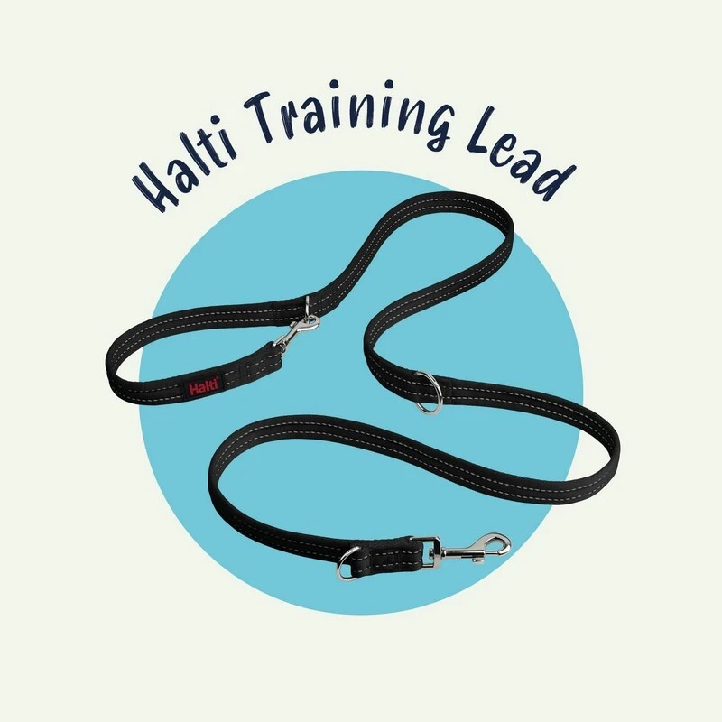 halti-training-lead