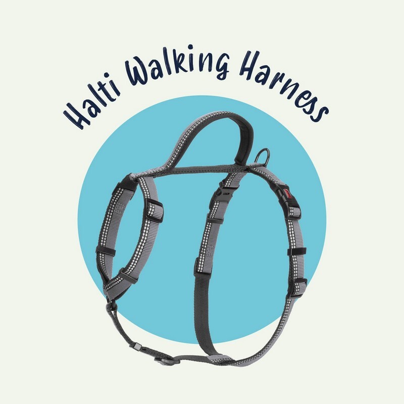 halti-walking-harness
