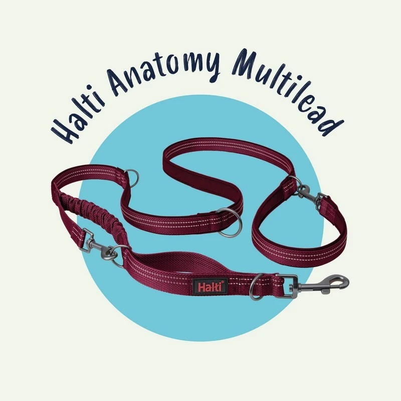 halti-anatomy-multi-lead