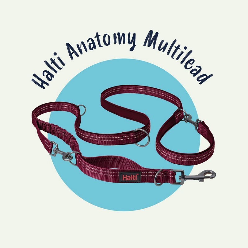 halti-anatomy-multilead