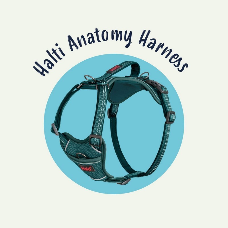 halti-anatomy-harness