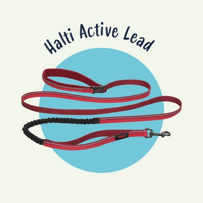 halti-active-lead
