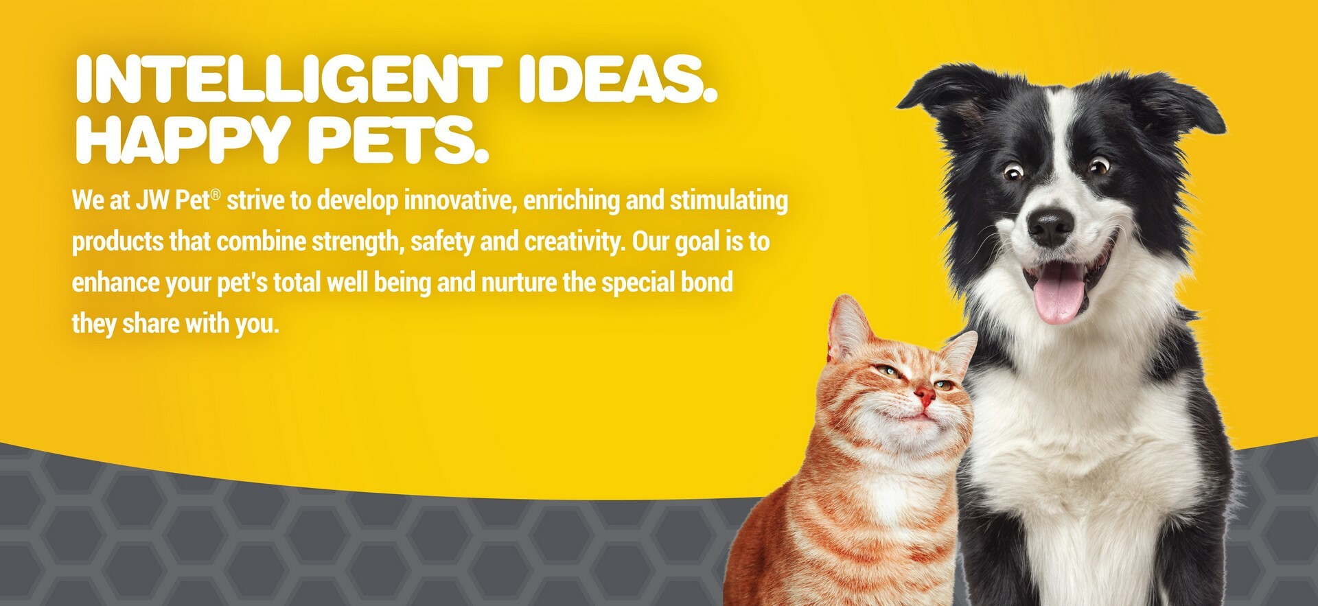 JW-intelligent-ideas-happy-pets