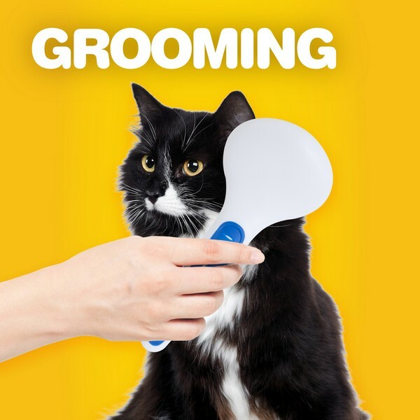 JW-grooming