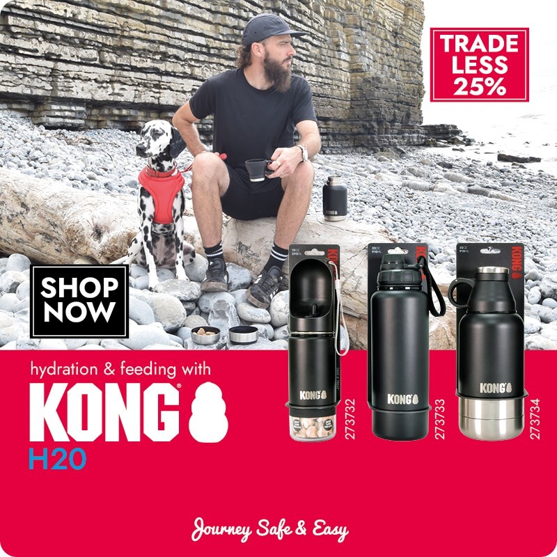 P6_kong