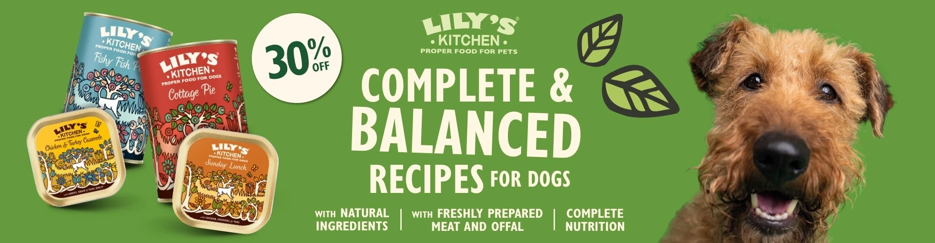Lilys Kitchen