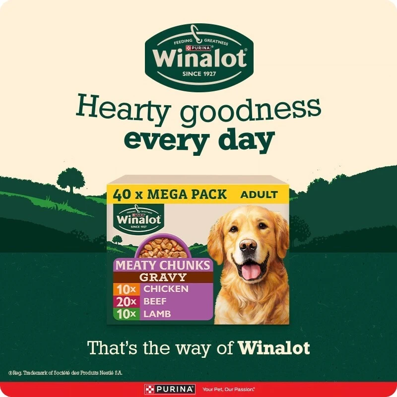 P11-winalot