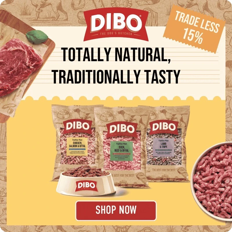 p11-dibo