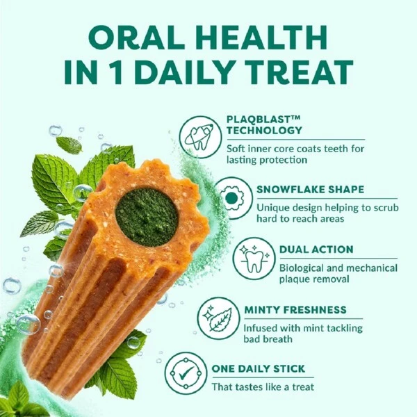 omni dental stick