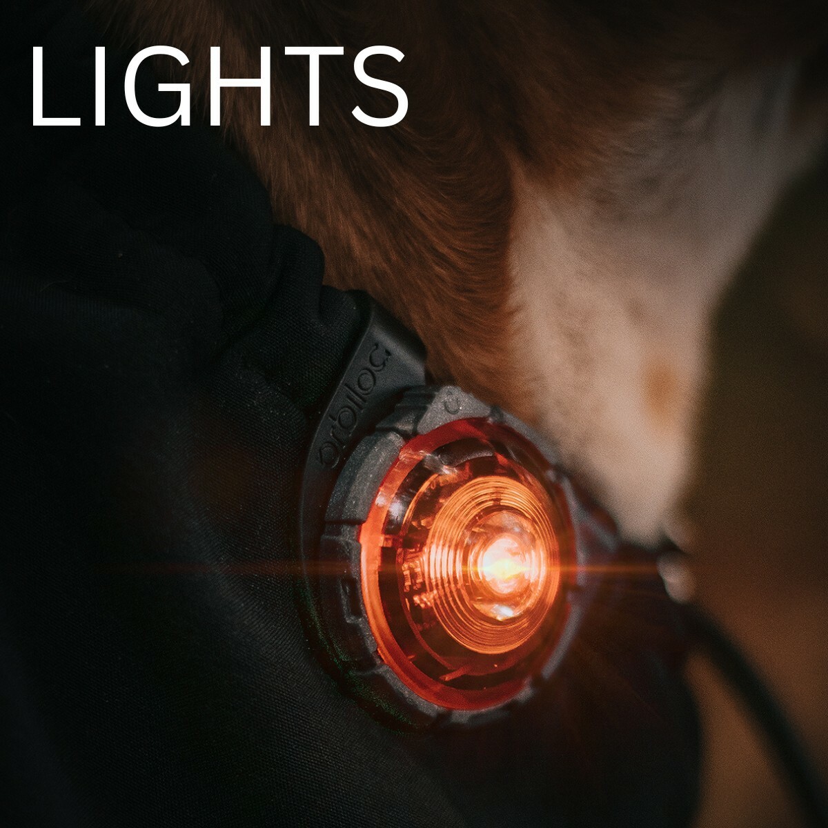 orbiloc-safety-lights