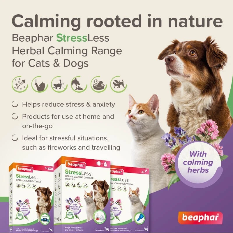 Beaphar