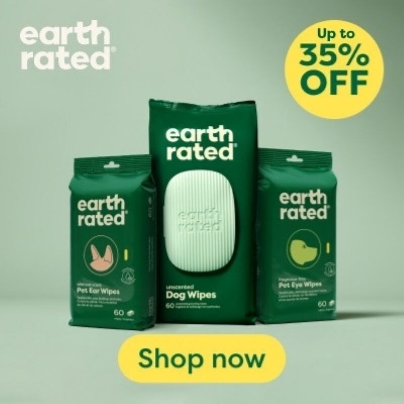 P6 Earth Rated