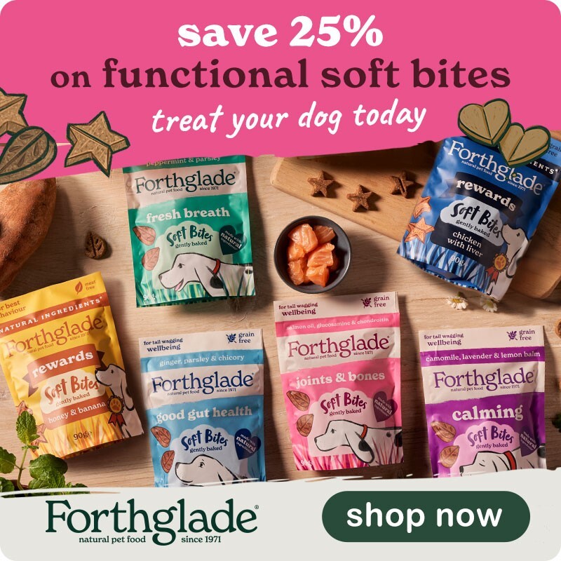 P6-forthglade