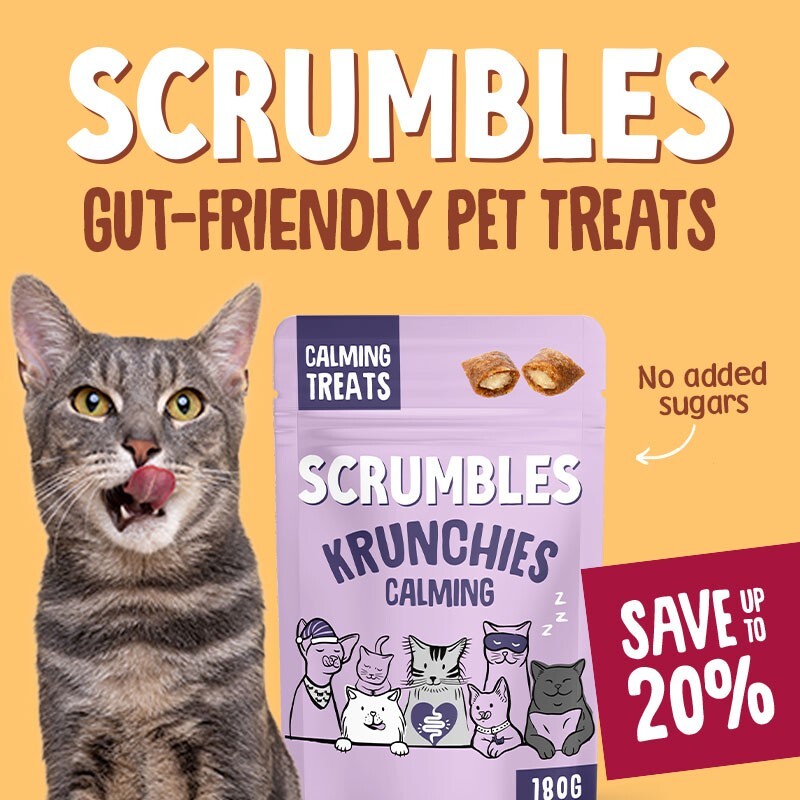 P6-Scrumbles