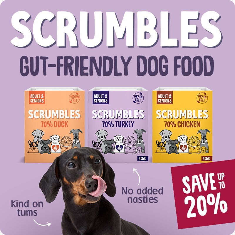 P6_scrumbles