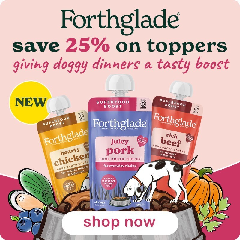 P8-forthglade