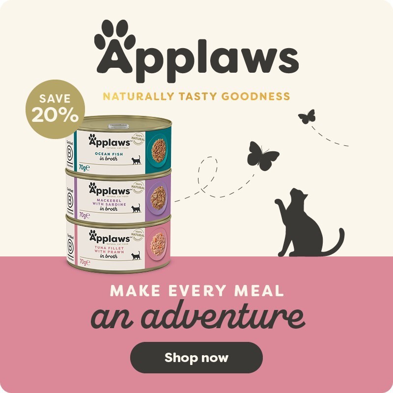 P8-Applaws