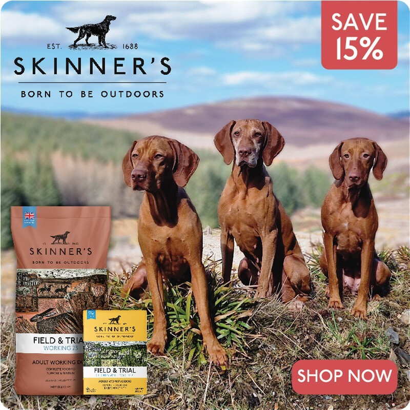 P9_2025_skinners