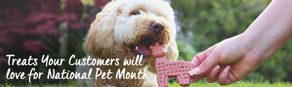 national-pet-month