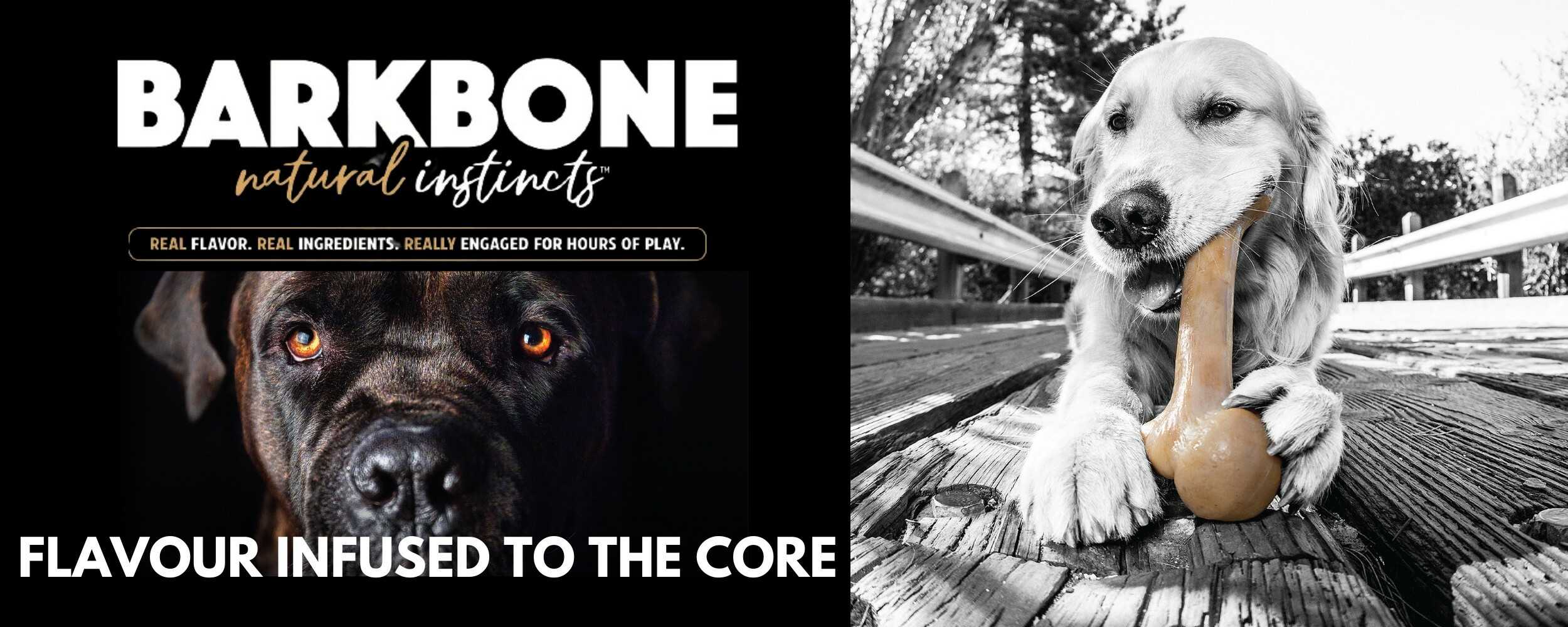 barkbone-flavour-infused