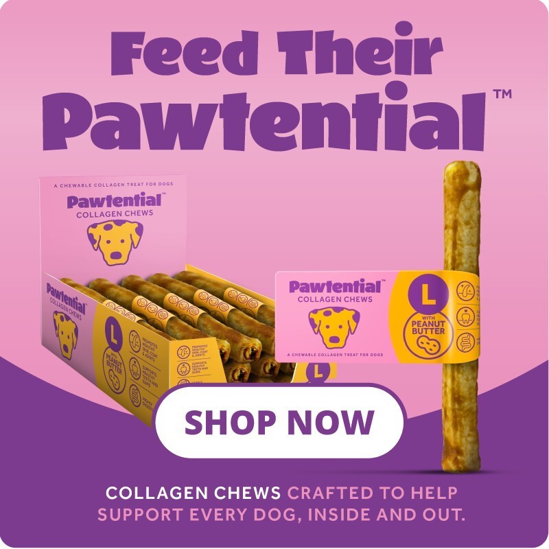 P8 pawtential