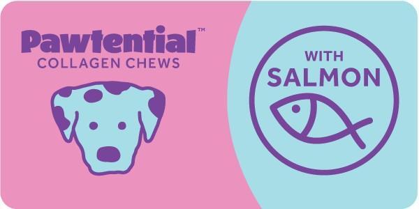 tt-4-pawtential-salmon