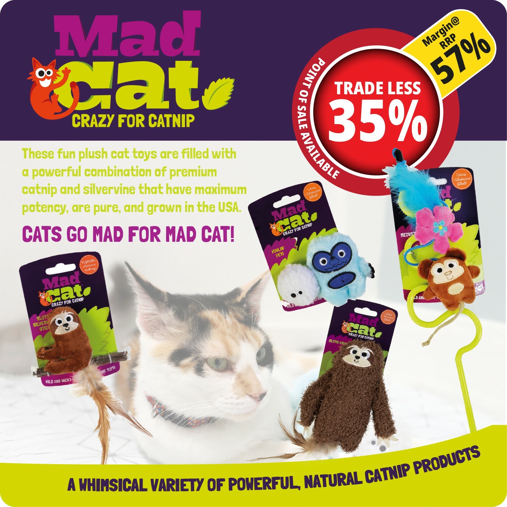 P4-Mad-Cat