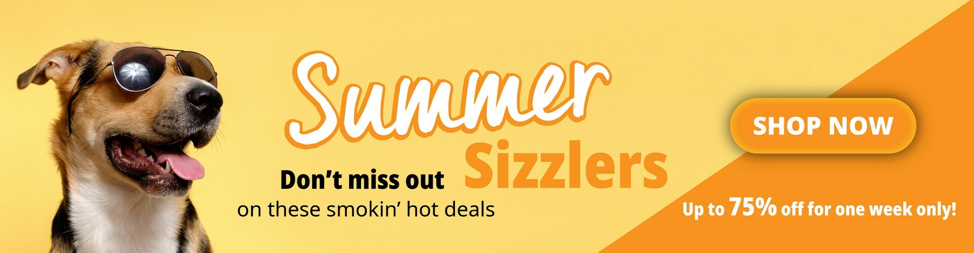 P6-Summer-Sizzlers