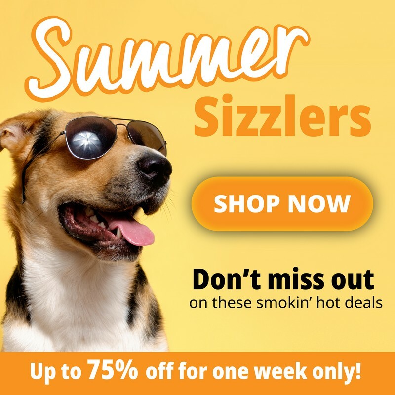 P6-Summer-Sizzlers