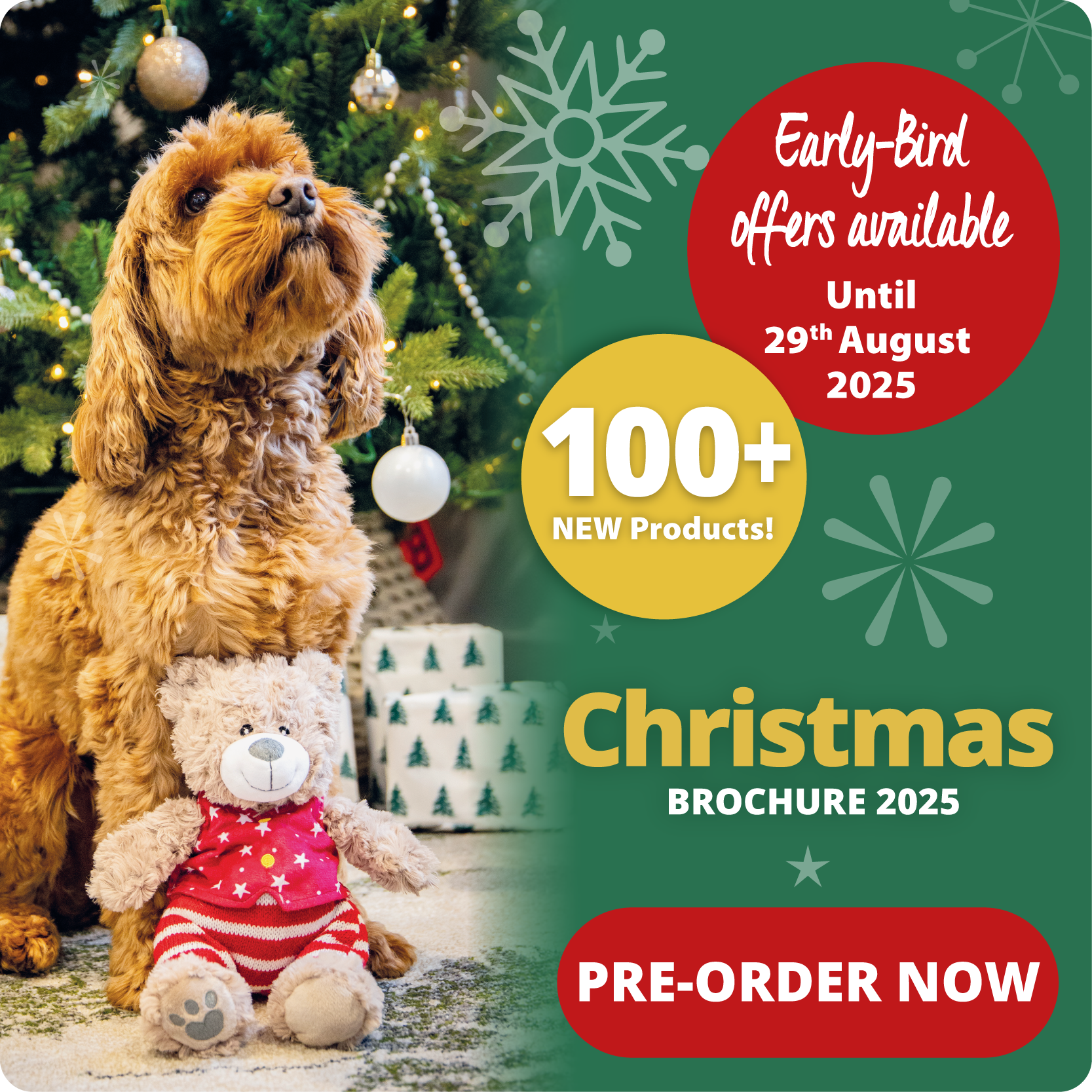 P8_2025_christmas