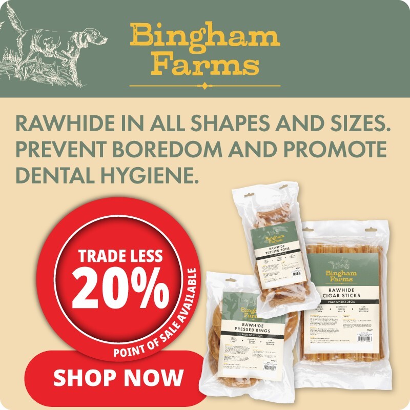 P7_2025_Bingham