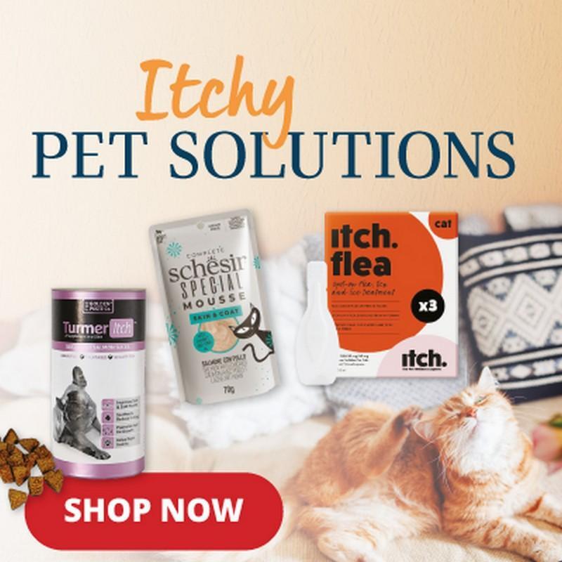 P8-itchy-pet