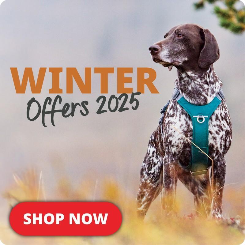 P10_2025_lower_small_winter
