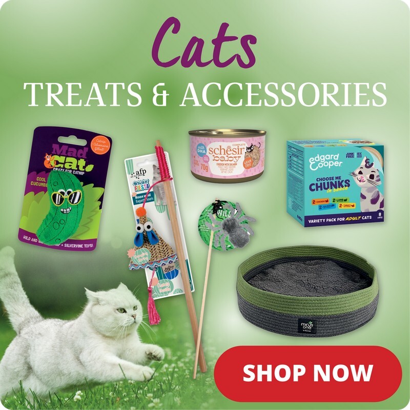 P9-purrfect-pet-cat-spotlight