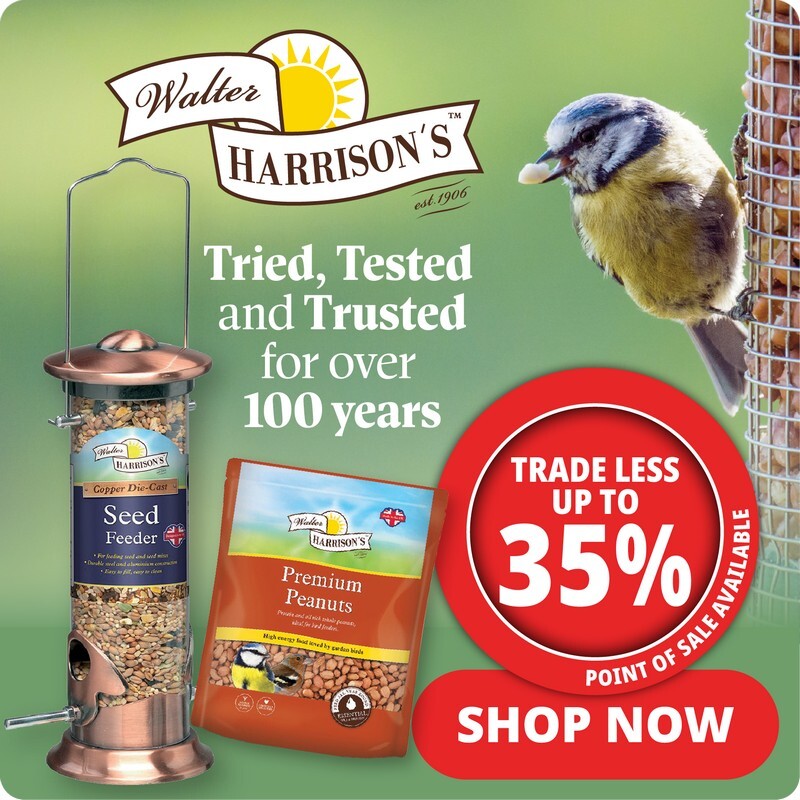 P9_2025_Harrisons