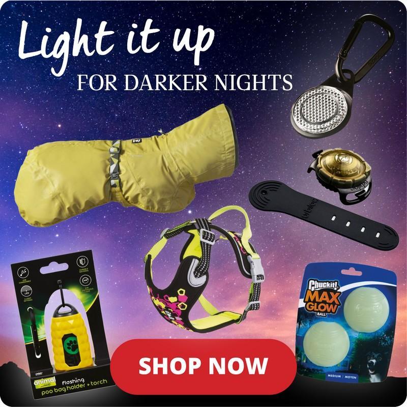 P10-light-it-up-spotlight