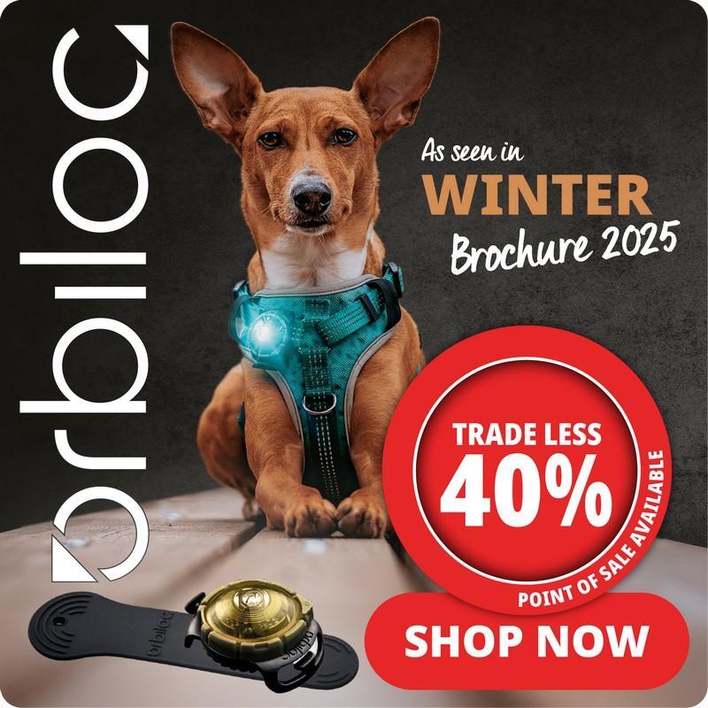 P10_2025_lower_1_orbiloc