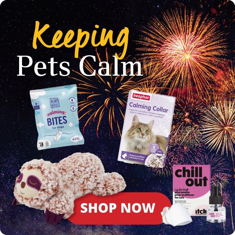 P11-keeping_pets_calm