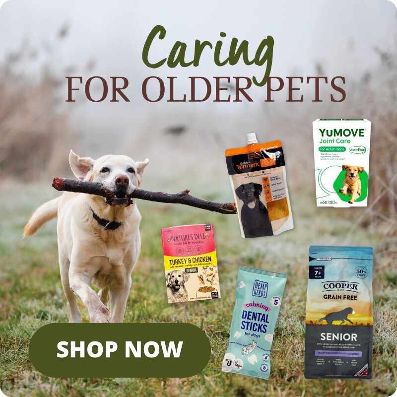 P12_homepage_bottom_row_3_cat_spotlight