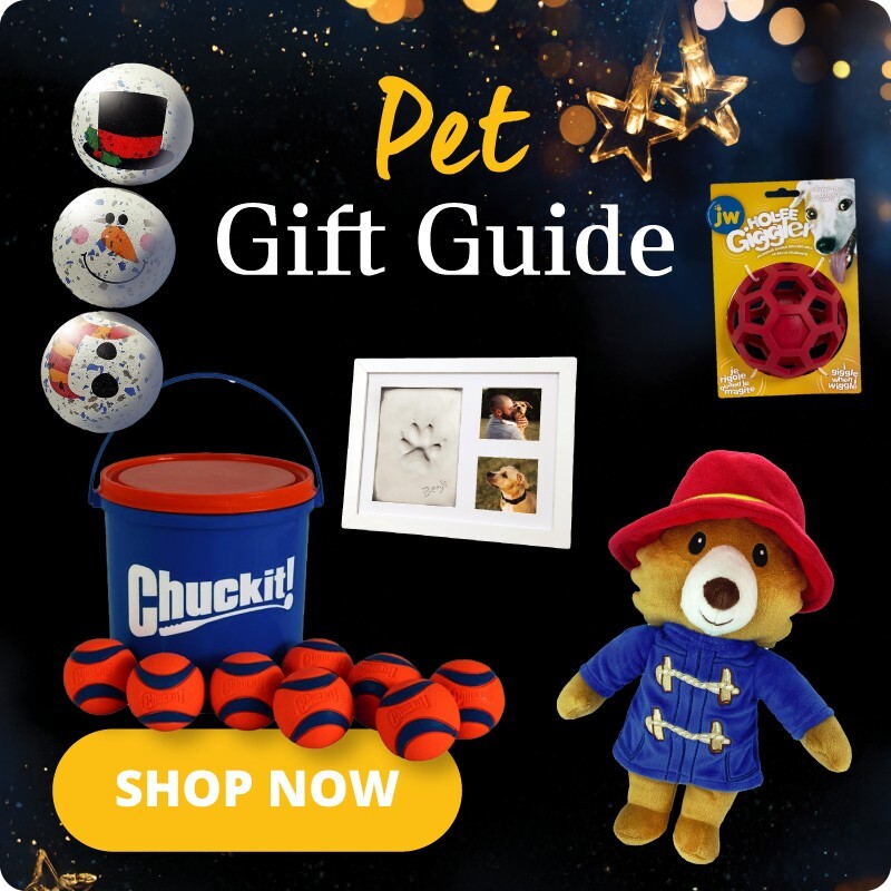 P12-gift-guide