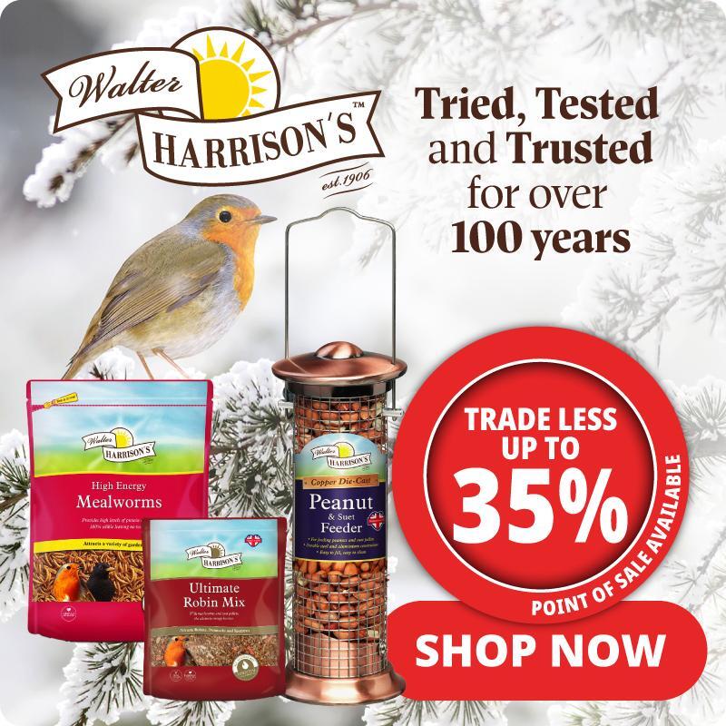 P12_2025_lower_small_Harrisons