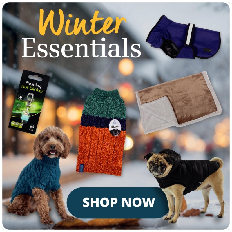 P12_homepage_bottom_row_3_cat_spotlight