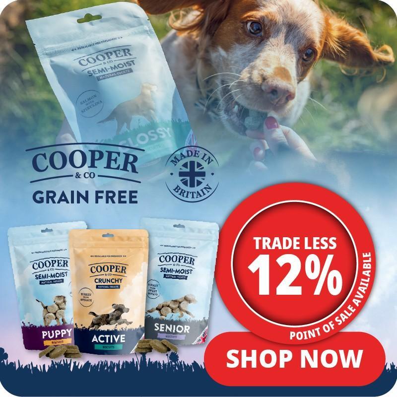 P1_2025_lower_1_cooper