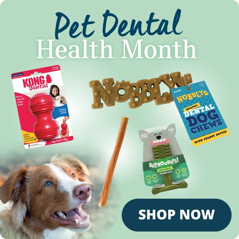 P2_homepage_bottom_row_3_cat_spotlight