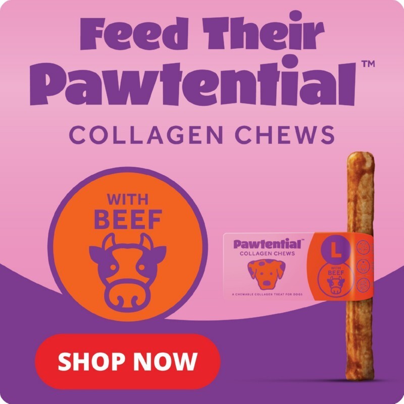 P9-pawtential