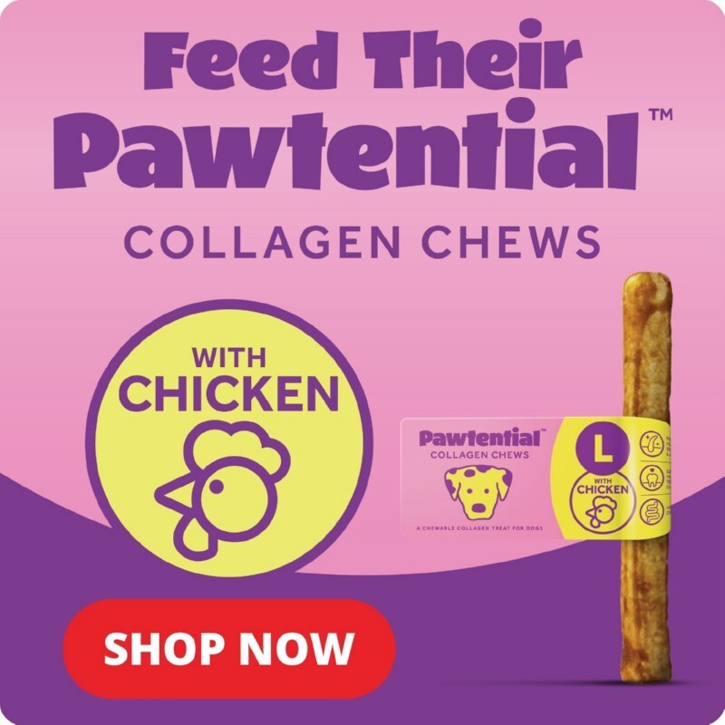 P9-pawtential
